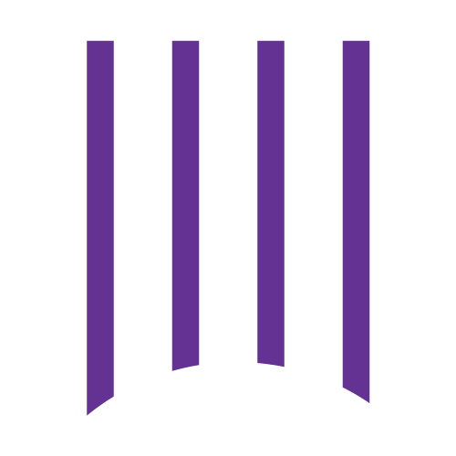 Ace Link Telecommunications Inc logo