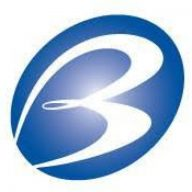 Bloomingdale Telephone Company logo