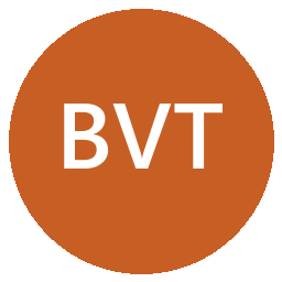 Blue Valley Tele-Communications Inc logo
