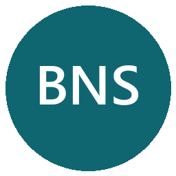 Blueriver Networking Services logo