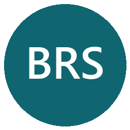 Rodney Shepardson dba Business Radio Service logo