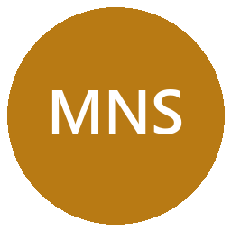 Managed Network Systems logo