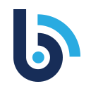 Blue Valley Technologies Inc logo