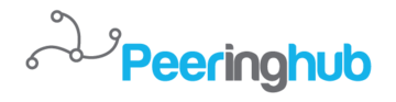 Peering Hub Inc - NY logo
