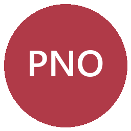 Peerless Network of Idaho LLC logo
