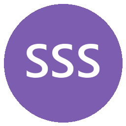 Scarsdale Security Systems Inc logo