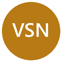 Voice Stream Network Inc - FL logo