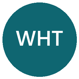 Waverly Hall Telephone LLC logo