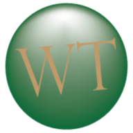 W. T. Services Inc logo