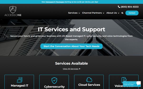 Homepage screenshot of Access One