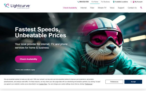 Homepage screenshot of Rainier Connect Inc - WA