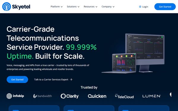 Homepage screenshot of Skyetel
