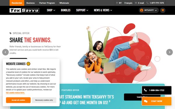 Homepage screenshot of Teksavvy Solutions Inc - ON